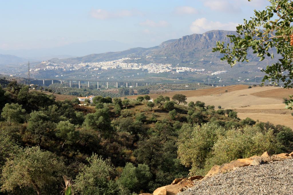 Ferienwohnung Casa Al Cerro Alora Zimmer foto